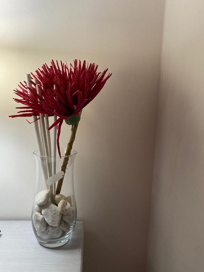 Orsogna Bed & Breakfast Mafi מראה חיצוני תמונה