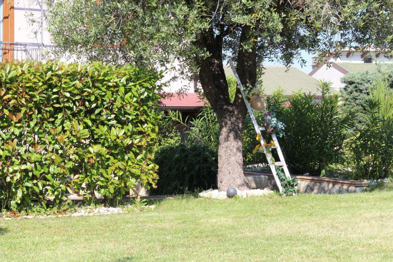 Orsogna Bed & Breakfast Mafi מראה חיצוני תמונה