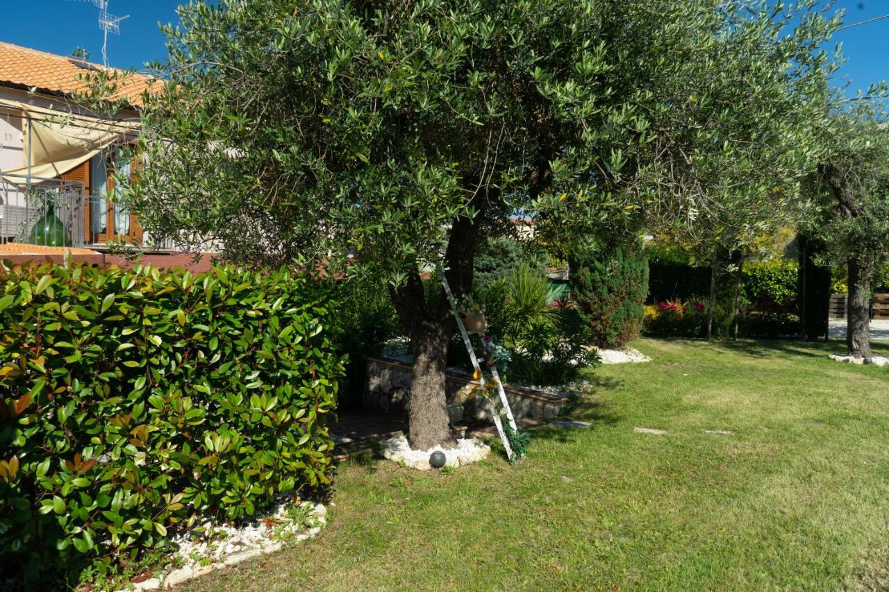 Orsogna Bed & Breakfast Mafi מראה חיצוני תמונה